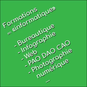 formation professionnelle et ludification